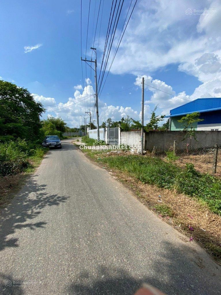 Đất xây xưởng biệt thự đường Số 17, Tân Thông, Củ Chi 312m2 (61m2 thổ)