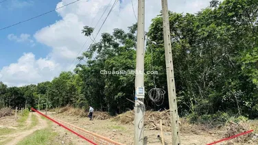 Chính chủ bán 992m2 đất mặt tiền Tỉnh Lộ 15