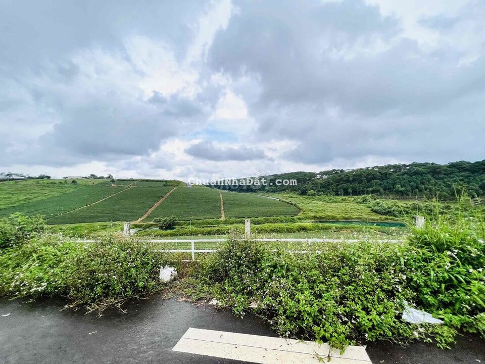 Hàng Hiếm,View đây đủ Sân Gold,Chèo thuyền,CamPing Khai Thác Dòng Tiền