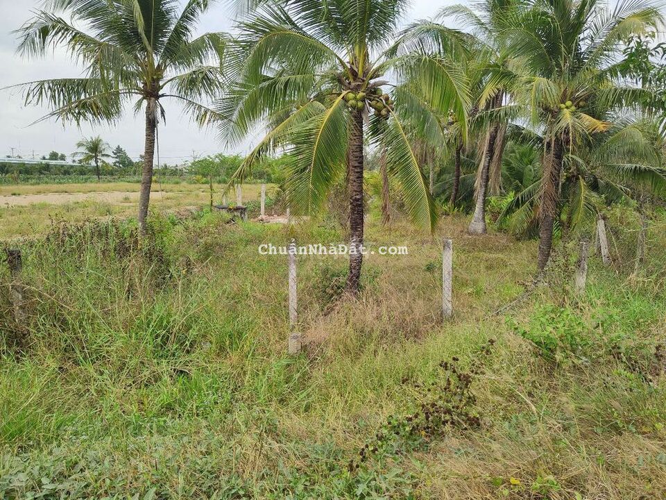 ĐẤT MẶT TIỀN 173 MỚI