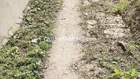327M CÓ 70M THỔ CƯ HỮU ĐỊNH CÁCH HL 173 CHỈ 300M