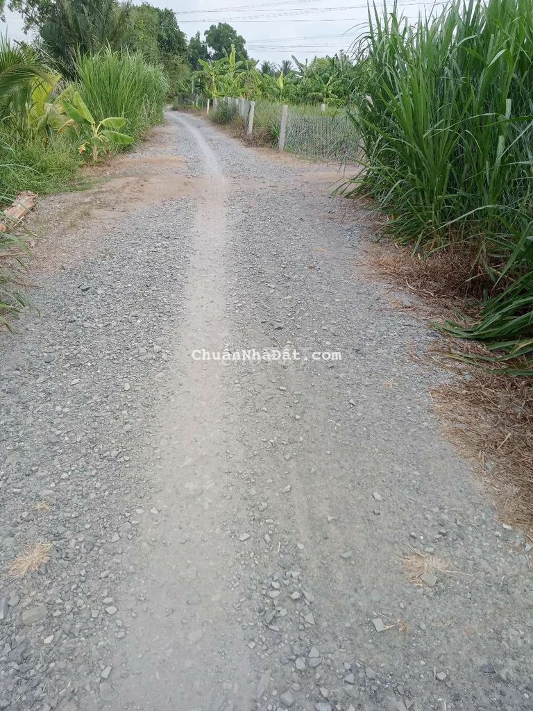 Đất thổ cư Hòa Phú Châu Thành Long An