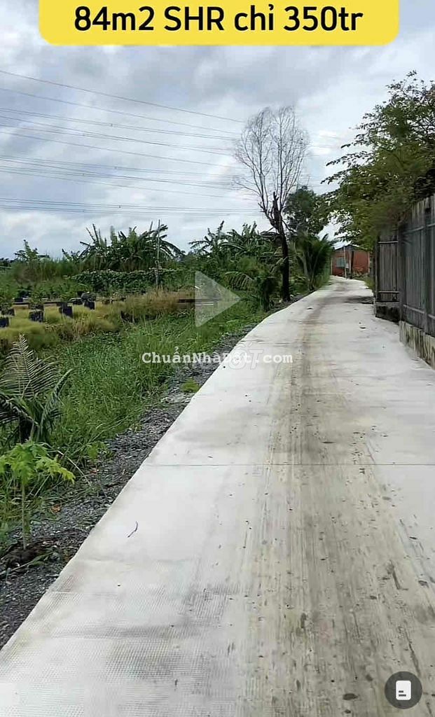 Đất thổ cư giá rẻ bèo vì chủ cần bán gấp 84m2 SHR chỉ có 359tr