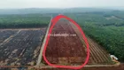 BÁN ĐẤT VƯỜN GIÁ RẺ