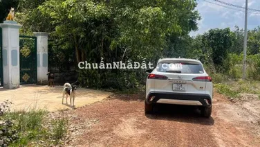 Cần tiền cắt lỗ gấp chỉ còn 550 triệu lô đất đường Số 36 phường Minh Thành, Chơn Thành, Bình Phước