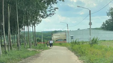 Tầm tiền 500! Không lô nào ngon bằng lô này! DT: 5x50m