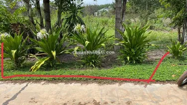 Bán lô 10*50tc100m² mặt tiền đ 41 sát bên KCN Minh Hưng Hàn Quốc rẻ