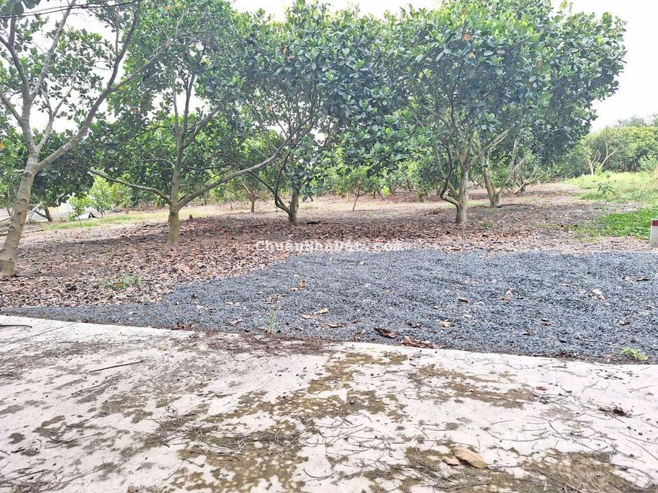 Lô đất 10x50 chủ đã đăng ký tc 100m² sát KCN đường rộng 12m chỉ 850tr