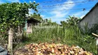 Đất mặt tiền nhựa chợ gạo, 430m2, 1tỷ2