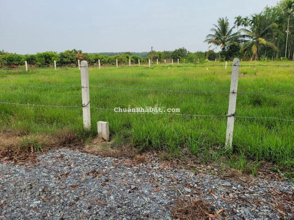 Đất đẹp giá tốt 6x24 ONT+CLN. Giá 370tr