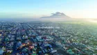 🌻40x50m CLN, Vườn nhãn đang thu hoạch Đường 6m, Truông Mít DMC 60tr/1m