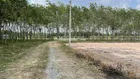 1130m2-130TC-Gần KCN Gò Dầu chỉ 1tr/m2- Tìm Đâu Ra
