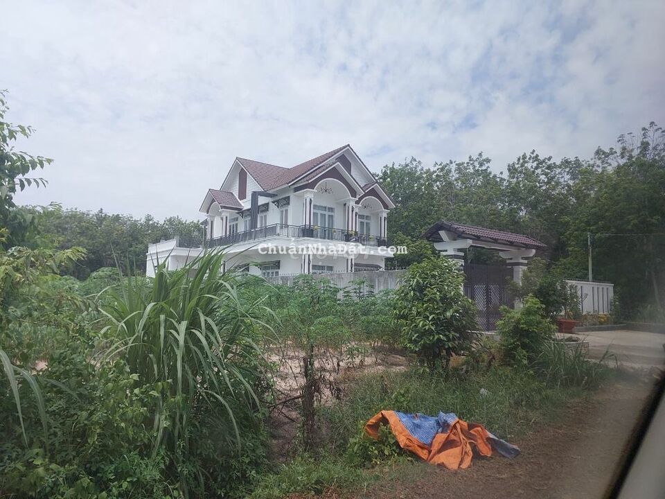 MT Nhựa Cẩm Giang, Gò Dầu 5x31m full thổ, Đất Cao Bằng Đường Chỉ 519tr