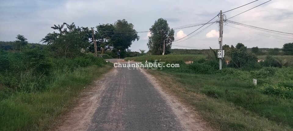 5x31 Full thổ. Mặt tiền nhựa, Trung tâm xã Cẩm Giang. Giá 519 triệu