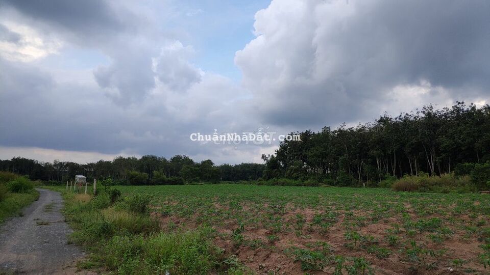 MT NHỰA 5x38 TC CHỈ 510TR PHƯỚC THẠNH GÒ DẦU