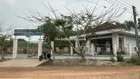 MT Nhựa thông. 5x40 - 2km tời KCN- 510tr Gần tiện ích. giá rẻ bất ngờ.