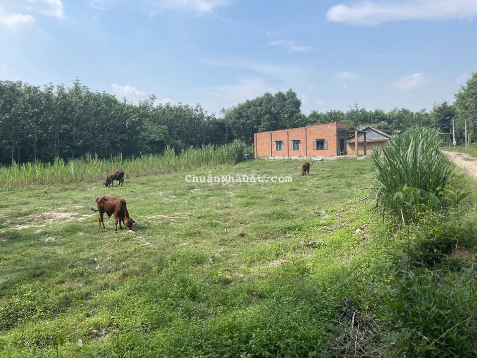 5x50 Full TC Cặp KCN Thạnh Đức chỉ 470tr