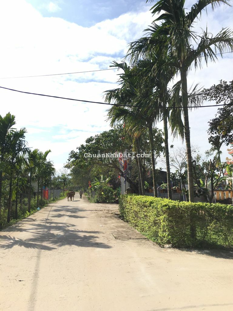 3 lô liền kề chỉ 610tr/lô đường 4m gần chợ Lệ Trạch