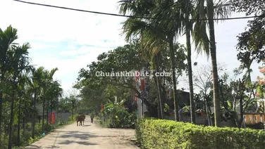 3 lô liền kề chỉ 610tr/lô đường 4m gần chợ Lệ Trạch