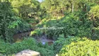 260m2 đất viết tay view suối phía sau gần nhà dân ở đông