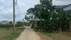 650m2 đất trồng cây hằng năm gần dân ở xã hòa nhơn
