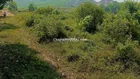 893m2 đất trồng cây hằng năm ngang 20m gần bà nà