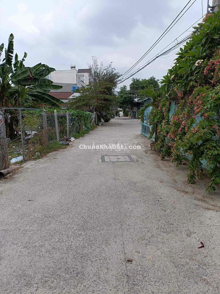 Bán Lô đất thổ cư Bà Điểm ,Gần chợ huế , đường Hậu Lân 1