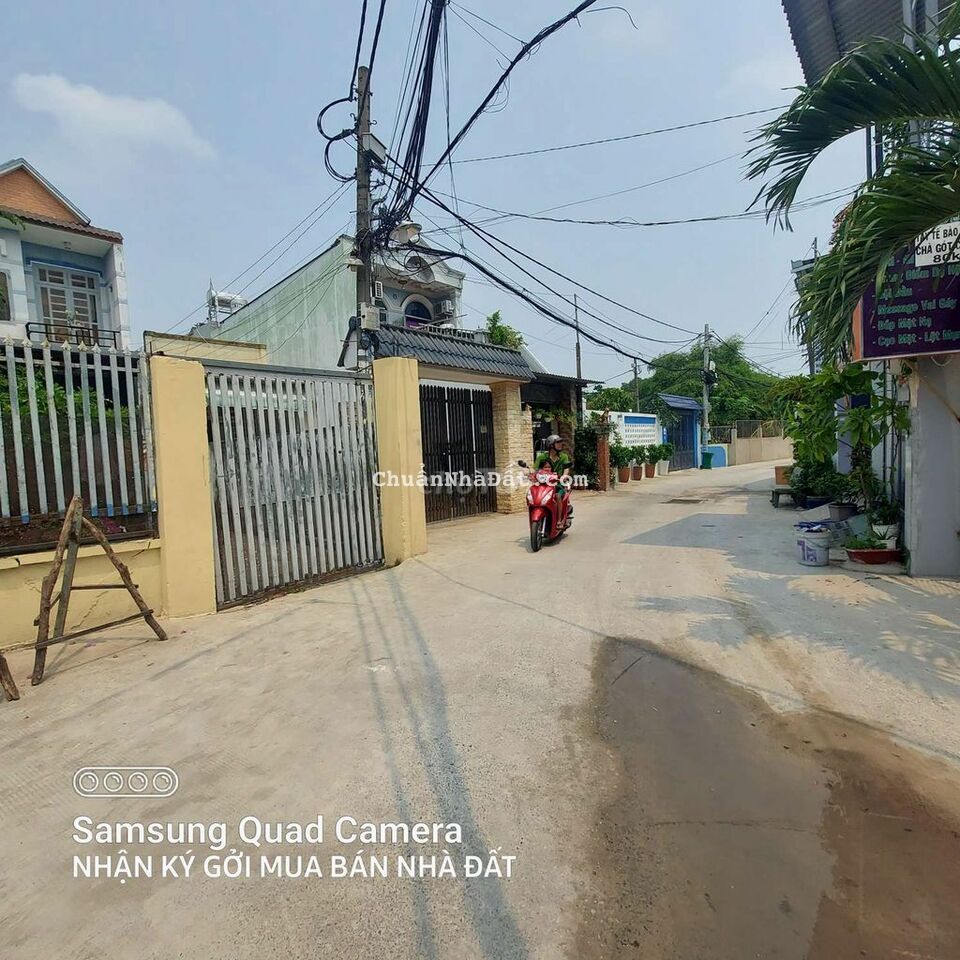 Đất xây biẹt thự và xưởng bao đẹp