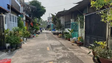 Đất thổ cư 15m x 35m nhựa 7m (XTT53) gần Cây xăng 61 Hóc Môn