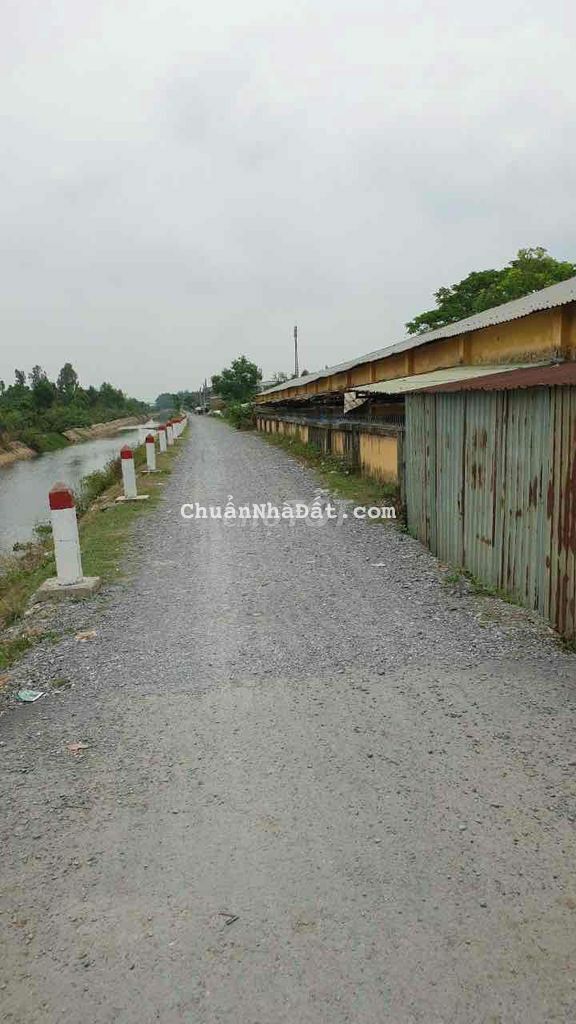 Đất thổ cư 4x16m đường Nguyễn Văn Bứa xã Xuân Thới Sơn, Hóc Môn,TP HCM