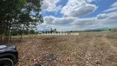 Bán đất giáp Sông Trò rộng 17.000m2 bằng phẳng đường oto giá rẻ LH 0788.558.552