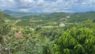 Cần tiền nên bán lỗ 1,2 sào đất xã Nam Hà, view đẹp giá chỉ 900 triệu