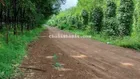 Đv.18 - 750 triệu/7700m2 đất vườn Bình Phước - full cao su