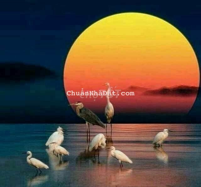 Bán đất 5x22m, full thổ cư,đường đất rộng,giá 1 tỷ ( Tl), Tân An, LaGi