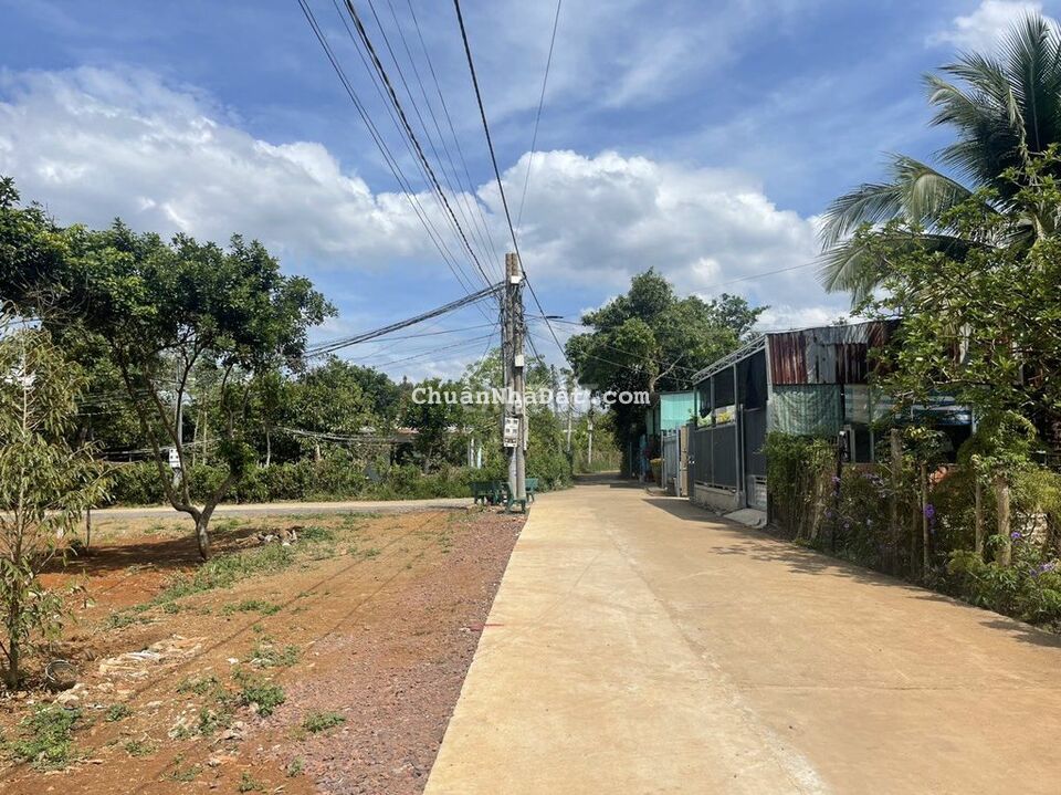 Bán gấp 1,1 sào Thọ Trung Bảo Quang phủ hồng, đông dân 1,1tỷ