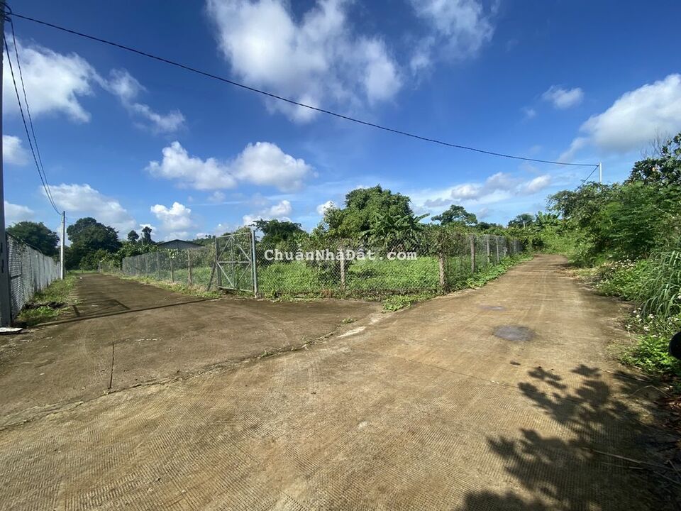 Bán lỗ lô đất vườn tâm huyết tại Xuân Lập - Long Khánh