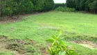 Bán 700m2 đất ngay mặt tiền sân bay, sổ hồng riêng. Giá tl