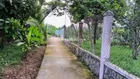 ĐẤT GẦN 50M HUYỆN 94C - THỚI SƠN - ĐẤT Ở ĐÔ THỊ 502M² - ĐƯỜNG BÊ TÔNG
