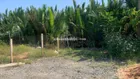 nếu a/c có 1 tỷ đồng hãy liên hệ em để đầu tư ạ