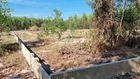 Bán 2500m2 đất 2 mặt tiền đường Thái Lan, Vĩnh Thanh. QH phủ hồng