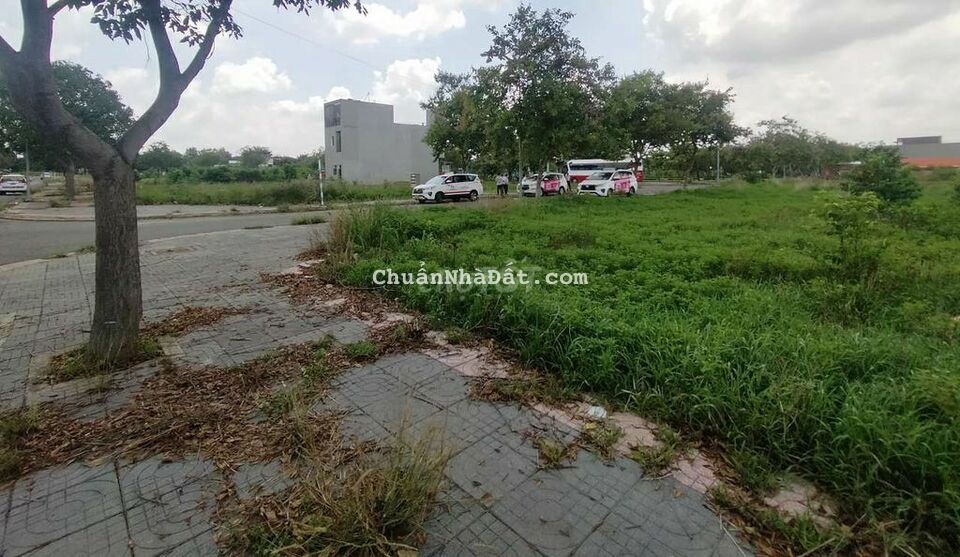 Đất ngộp bán gấp 191m² thổ vườn Hắc Dịch Phú Mỹ giá 1 Tỷ