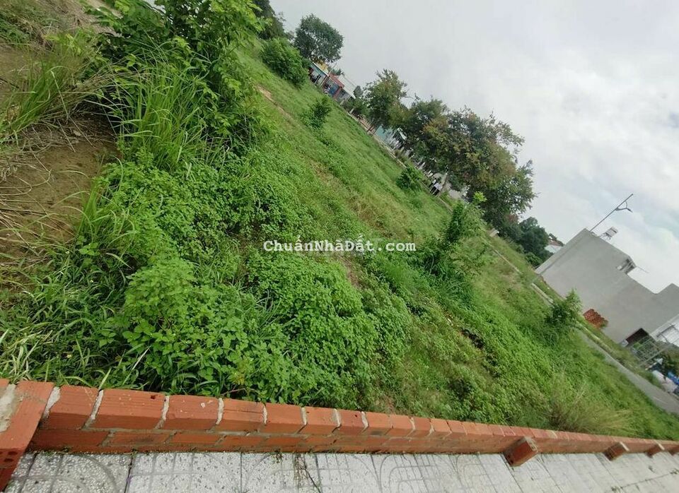 Ngộp bank ra gấp đất thổ vườn 191m² ngay trung tâm Phú Mỹ sổ sẵn 900Tr