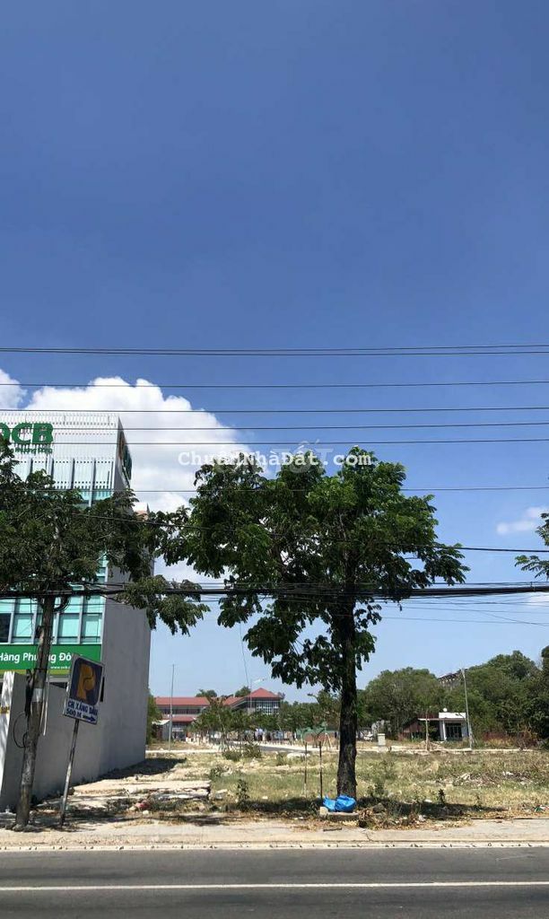 Đất ngộp bán gấp 193m² đất thổ vườn sổ sẵn Trung tâm Phú Mỹ 950Tr