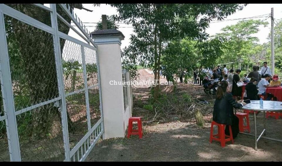 27m đường nhựa, tổng 841m2 thổ cư 100m, gần KCN Long Bình, Phú Riềng.