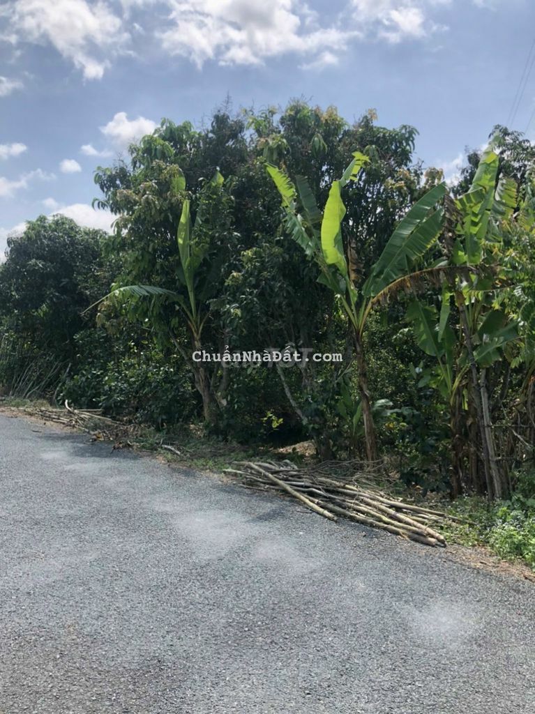 Hàng đầu tư mềm nhất khu vực. Lộ nhựa 8m