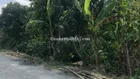 Hàng đầu tư mềm nhất khu vực. Lộ nhựa 8m