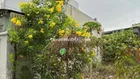 Bán Lô Đất SHR.Thổ Cư 71,9m .Hẻm Thới 13 thông TA11.Dt:4x18m