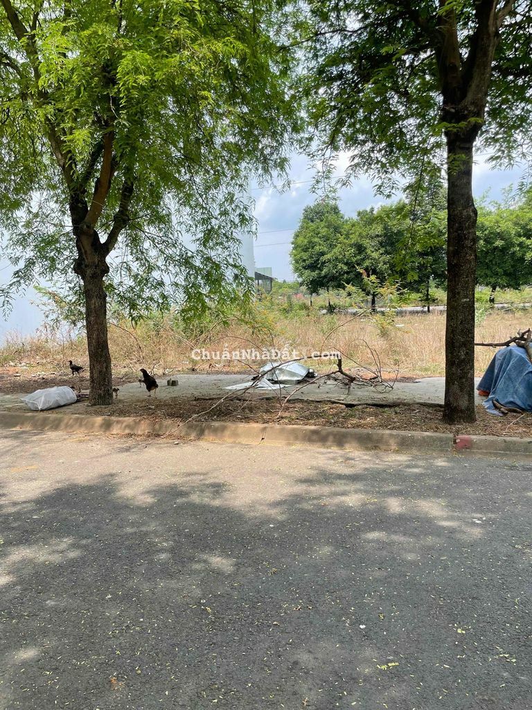 Bán Đất Đường Số 14 Khu Đại Dương P6 Tp Tân An Lô 28