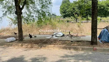 Bán Đất Đường Số 14 Khu Đại Dương P6 Tp Tân An Lô 28