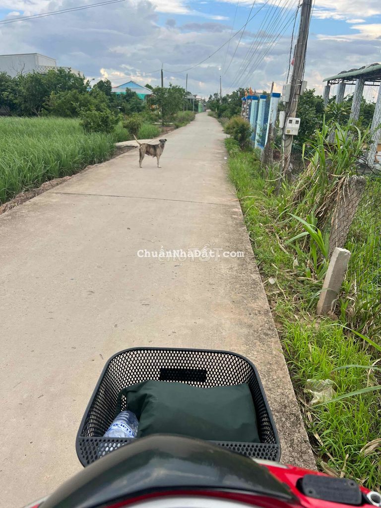 Đất Nền 200m2 Có 100m2 TC MT Đan 4m Xã Phú Thạnh